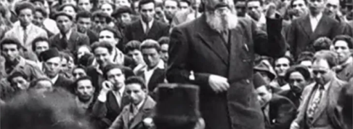 الخارجية الأردنية دانت إطلاق قوات الاحتلال النار على وفد ديبلوماسي في جنين:جريمة تخالف كل الأعراف