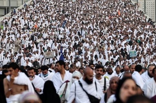 هذا ما بلغه عدد الحجاج المصريين الذين قُتلوا في أثناء مناسك الحج