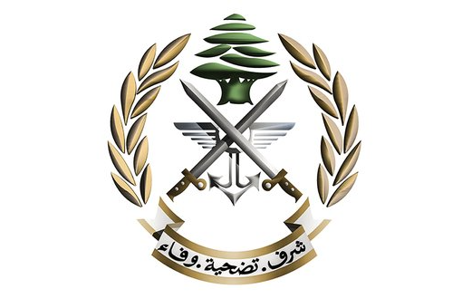 الجيش يلقي القبض على منفذ جريمة الشواغير